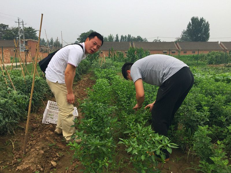 好利來郭總喊您來摘菜啦！綠色無公害，放心！