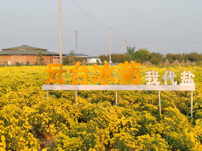 圖片3